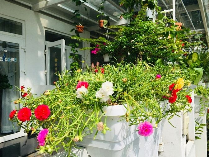 Cho thuê nhà phố Merita Khang Điền đường Liên Phường Q.9 - DT: 5x18m2. 52626840 Cho thuê nhà phố Merita Khang Điền đường Liên Phường Q.9 - DT: 5x18m2.
