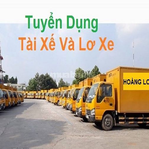 Tuyên 15 tài xế - 30 lơ xe tải làm việc tại bình định 51733228 Tuyên 15 tài xế - 30 lơ xe tải làm việc tại bình định