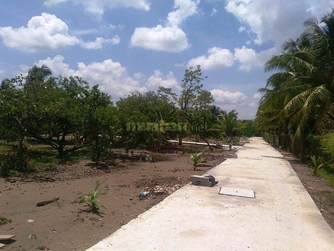 Đất nền 20x20m,Song Thuận, Châu Thành,cách DT864 600m,KCN Bình Đức 3Km 52687890 Đất nền 20x20m,Song Thuận, Châu Thành,cách DT864 600m,KCN Bình Đức 3Km