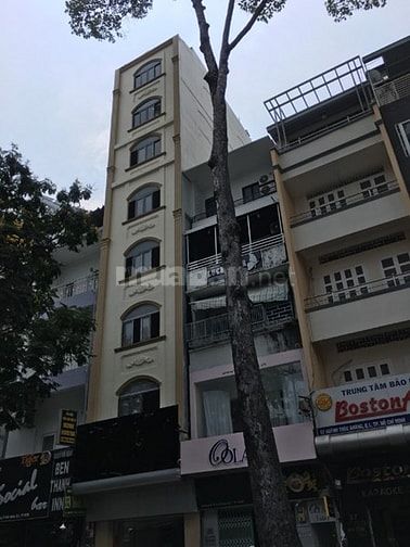 Bán gấp nhà HXH Phường 6, Quận 3, DT 6x14m vị trí cực đẹp giá 17 tỷ 52742408 Bán gấp nhà HXH Phường 6, Quận 3, DT 6x14m vị trí cực đẹp giá 17 tỷ