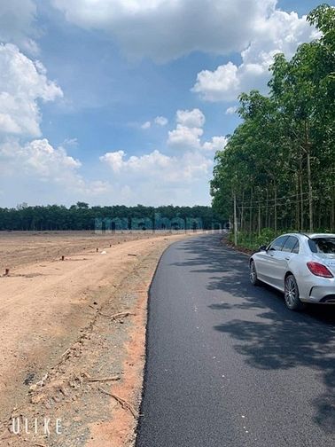 Đất nền sổ riêng khu công nghiệp Chơn Thành giá ưu đãi chỉ cần 300tr 52743341 Đất nền sổ riêng khu công nghiệp Chơn Thành giá ưu đãi chỉ cần 300tr