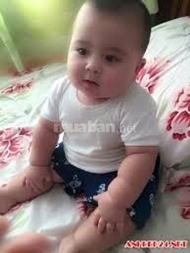 Cần tìm người chăm em bé làm ăn ở lại 52763963 Cần tìm người chăm em bé làm ăn ở lại