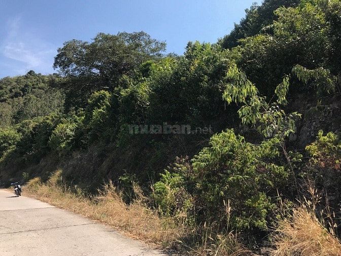 Bán đất mặt tiền đường quanh đảo An Sơn, xã An Sơn, huyện Kiên Hải 52759151 Bán đất mặt tiền đường quanh đảo An Sơn, xã An Sơn, huyện Kiên Hải