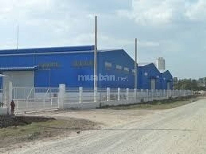 Cho thuê kho nhà xưởng công nghiệp KCN An Phước, KCN Nhơn Trạch 2, 3, 52780819 Cho thuê kho nhà xưởng công nghiệp KCN An Phước, KCN Nhơn Trạch 2, 3,