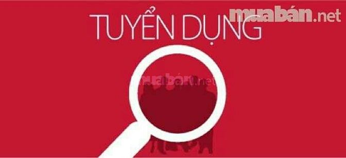 Cần tuyển gấp nhân viên kế toán bán hàng Nam/Nữ trung cấp trở lên 52782852 Cần tuyển gấp nhân viên kế toán bán hàng Nam/Nữ trung cấp trở lên