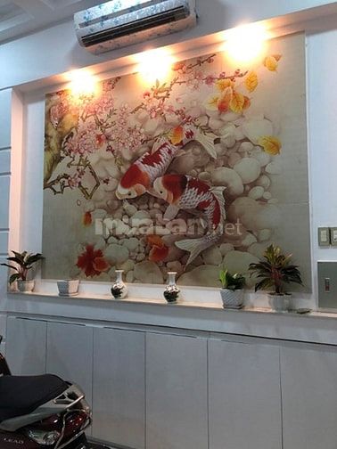 Ôi cần bán căn nhà đường Năm Châu - Lê Ngân P 11 ,Quận Tân Bình nhà 2 52785231 Ôi cần bán căn nhà đường Năm Châu - Lê Ngân P 11 ,Quận Tân Bình nhà 2