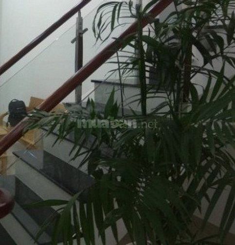 Cho thuê nhà mặt tiền Võ Văn Tần, Phường 5, Quận 3. Diện tích 4m x 18m 52789825 Cho thuê nhà mặt tiền Võ Văn Tần, Phường 5, Quận 3. Diện tích 4m x 18m