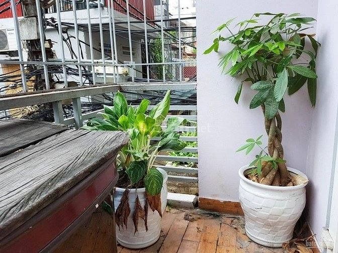 Giá HOT (7,8 tỷ)Bán Nhà khu PLTrần Quốc Hoàn, DT 50m2x5 tầng,Mt5,2m,cự 52835775 Giá HOT (7,8 tỷ)Bán Nhà khu PLTrần Quốc Hoàn, DT 50m2x5 tầng,Mt5,2m,cự