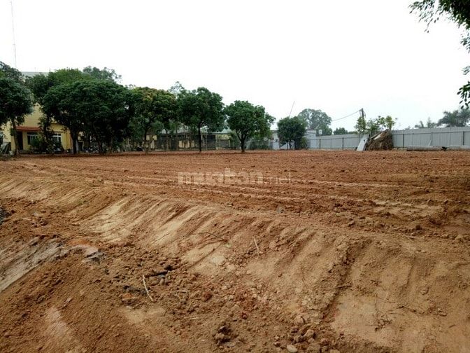 Cho thuê nhà đất trống khu thạch lỗi , thanh xuân, sóc sơn. 52858600 Cho thuê nhà đất trống khu thạch lỗi , thanh xuân, sóc sơn.