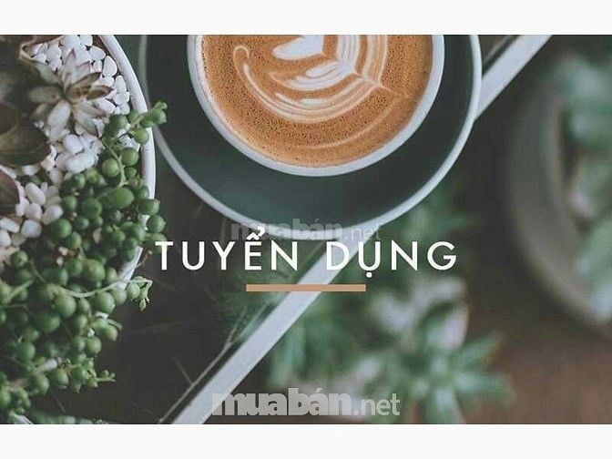 🔊🔊🔊 Tuyển gấp nhân viên bán socola ; ngũ cốc nhập khẩu 52919807 🔊🔊🔊 Tuyển gấp nhân viên bán socola ; ngũ cốc nhập khẩu