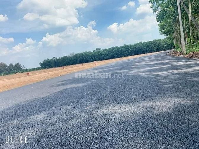 Cấn thanh lý 5 lô đất thuôc thị trấn chơn thành đối diện becamex bp 53013060 Cấn thanh lý 5 lô đất thuôc thị trấn chơn thành đối diện becamex bp