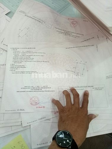 cần bán các dt như sau 125m2 -150m2 -1000m2 giá đầu tư f1 53099567 cần bán các dt như sau 125m2 -150m2 -1000m2 giá đầu tư f1