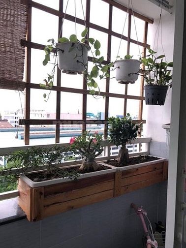 Dọn vào ở ngay căn hộ Tecco Green Nest yên tĩnh, thoáng mát,rộng rãi 53164807 Dọn vào ở ngay căn hộ Tecco Green Nest yên tĩnh, thoáng mát,rộng rãi