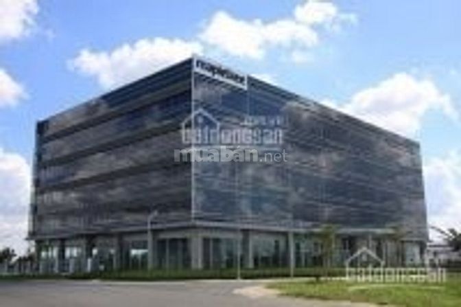 Cho thuê văn phòng tại Thủ Dầu Một, BD, tòa nhà Mapletree từ 200m2 53188298 Cho thuê văn phòng tại Thủ Dầu Một, BD, tòa nhà Mapletree từ 200m2