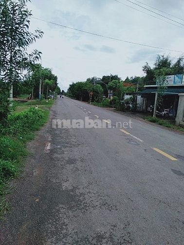 Bán đất Kinh Doanh, Mặt tiền đường Bàu Đồn- Phước Thạnh, 950m2, 1,8 tỷ 53193618 Bán đất Kinh Doanh, Mặt tiền đường Bàu Đồn- Phước Thạnh, 950m2, 1,8 tỷ