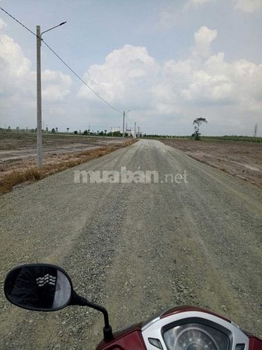 Bán 1000m2 giá 600tr liên hệ em đẻ xem đất shr 53206139 Bán 1000m2 giá 600tr liên hệ em đẻ xem đất shr