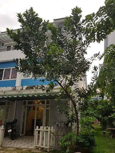 Nhà phố Mega Ruby Quận 9, một trệt 2 lầu, diện tích sử dụng trên 150m 53229268 Nhà phố Mega Ruby Quận 9, một trệt 2 lầu, diện tích sử dụng trên 150m