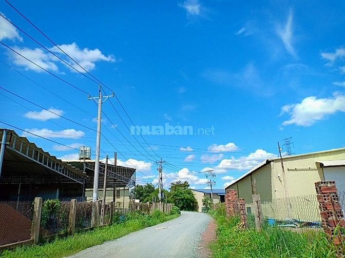 ĐẤT NỀN TÂM ĐIỂM HÓT NHẤT CHƠN THÀNH 2019, ĐẦU TƯ CHỈ VỚI 300TR ĐỒNG 53247155 ĐẤT NỀN TÂM ĐIỂM HÓT NHẤT CHƠN THÀNH 2019, ĐẦU TƯ CHỈ VỚI 300TR ĐỒNG