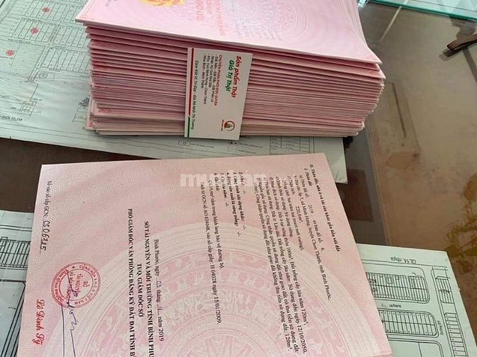 ĐẤT NỀN TÂM ĐIỂM HÓT NHẤT CHƠN THÀNH 2019, ĐẦU TƯ CHỈ VỚI 300TR ĐỒNG 53247155 ĐẤT NỀN TÂM ĐIỂM HÓT NHẤT CHƠN THÀNH 2019, ĐẦU TƯ CHỈ VỚI 300TR ĐỒNG