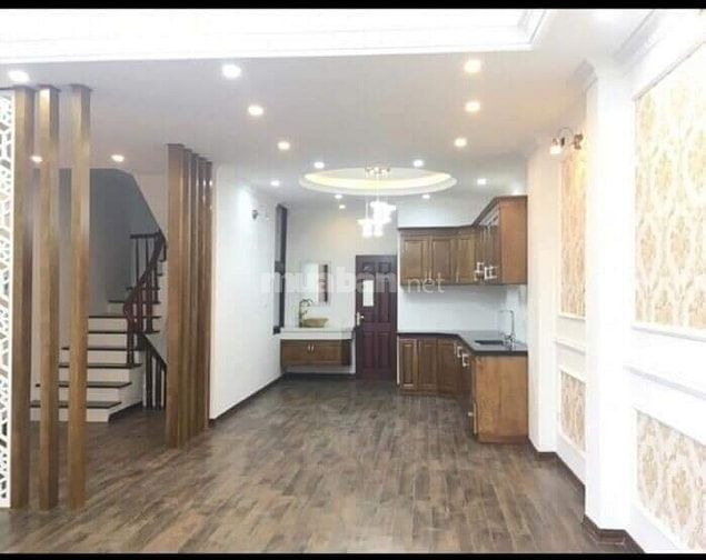 Nhà phân lô ngõ 55 phố Đỗ Quang, Dt 60m x 5 tầng, cách mặt phố 20m 53249049 Nhà phân lô ngõ 55 phố Đỗ Quang, Dt 60m x 5 tầng, cách mặt phố 20m
