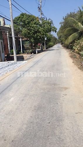 Bán đất đường xe hơi, xã Hưng Long, Bình Chánh 1100m2 53259759 Bán đất đường xe hơi, xã Hưng Long, Bình Chánh 1100m2