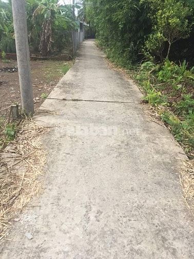 Bán nền Biệt thự vị trí tuyệt đẹp Mặt tiền Rạch Hàng Bàng, Bình Thủy, 53325051 Bán nền Biệt thự vị trí tuyệt đẹp Mặt tiền Rạch Hàng Bàng, Bình Thủy,