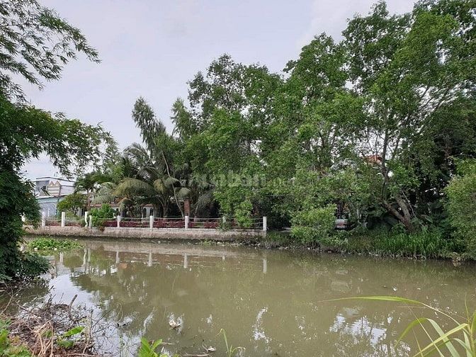 Bán nền Biệt thự vị trí tuyệt đẹp Mặt tiền Rạch Hàng Bàng, Bình Thủy, 53325051 Bán nền Biệt thự vị trí tuyệt đẹp Mặt tiền Rạch Hàng Bàng, Bình Thủy,