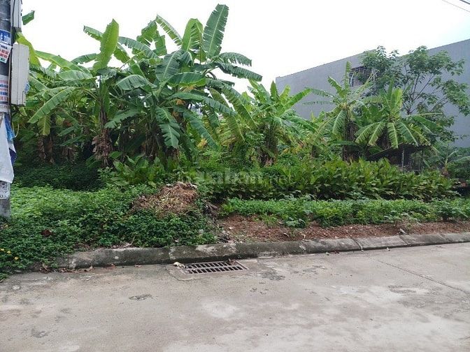 Bán đất 115m đường Lương văn Can, sổ đỏ tươi, giá nét 53352360 Bán đất 115m đường Lương văn Can, sổ đỏ tươi, giá nét