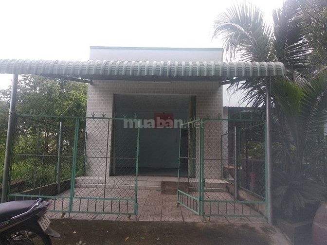 Cần tiền nên bán gấp nhà cấp 4 diện tích 100m2 53355065 Cần tiền nên bán gấp nhà cấp 4 diện tích 100m2