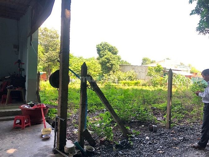 Lô đất Nguyễn Thị Nê, x.Phú Hoà Đông, Củ Chi bán gấp 53390370 Lô đất Nguyễn Thị Nê, x.Phú Hoà Đông, Củ Chi bán gấp