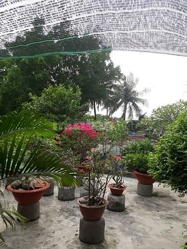 Chính chủ Bán Nhà và Đất Tân Kiên, Bình Chánh, 10500 m2, 40 tỷ 53377263 Chính chủ Bán Nhà và Đất Tân Kiên, Bình Chánh, 10500 m2, 40 tỷ