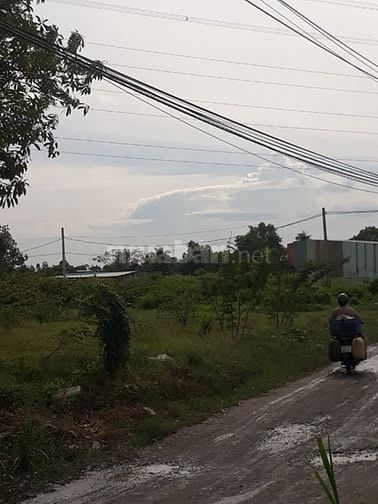 Chính chủ Bán Nhà và Đất Tân Kiên, Bình Chánh, 10500 m2, 40 tỷ 53377263 Chính chủ Bán Nhà và Đất Tân Kiên, Bình Chánh, 10500 m2, 40 tỷ
