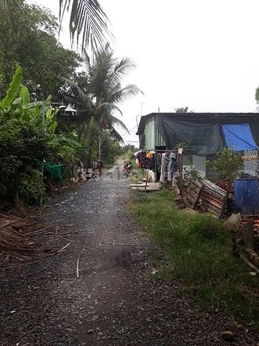 Chính chủ Bán Nhà và Đất Tân Kiên, Bình Chánh, 10500 m2, 40 tỷ 53377263 Chính chủ Bán Nhà và Đất Tân Kiên, Bình Chánh, 10500 m2, 40 tỷ