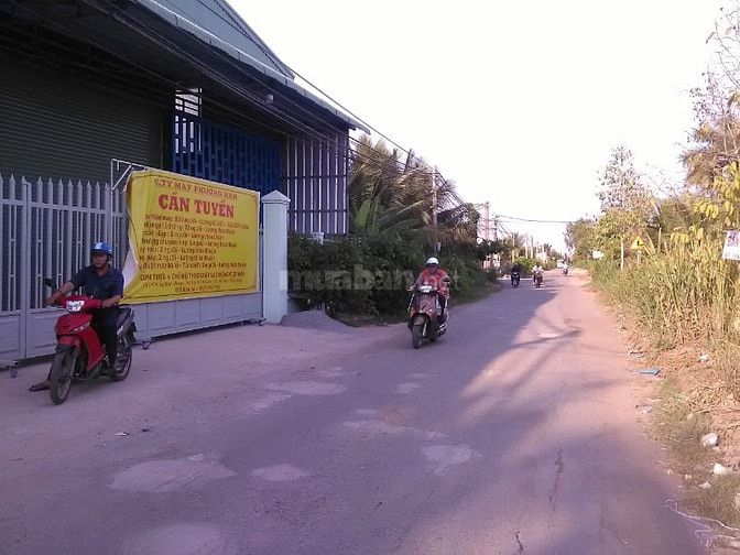 Đất thổ cư TMC, hẻm ô tô vị trí đẹp 53477678 Đất thổ cư TMC, hẻm ô tô vị trí đẹp