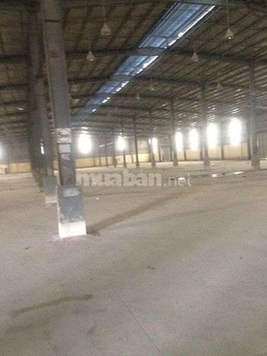 Cho thuê kho 1.000m2, đường Hậu Giang, Q.6 53491084 Cho thuê kho 1.000m2, đường Hậu Giang, Q.6
