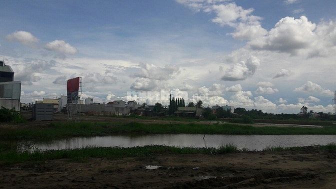Bán gấp 6 công đất lúa, 6000m2 (có thể lên thổ) 53543351 Bán gấp 6 công đất lúa, 6000m2 (có thể lên thổ)