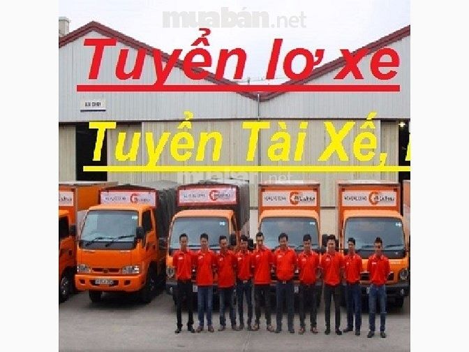 Tuyển Tài B2 C Lơ Phụ Lương Cao và Bốc Xếp Kho 53465795 Tuyển Tài B2 C Lơ Phụ Lương Cao và Bốc Xếp Kho