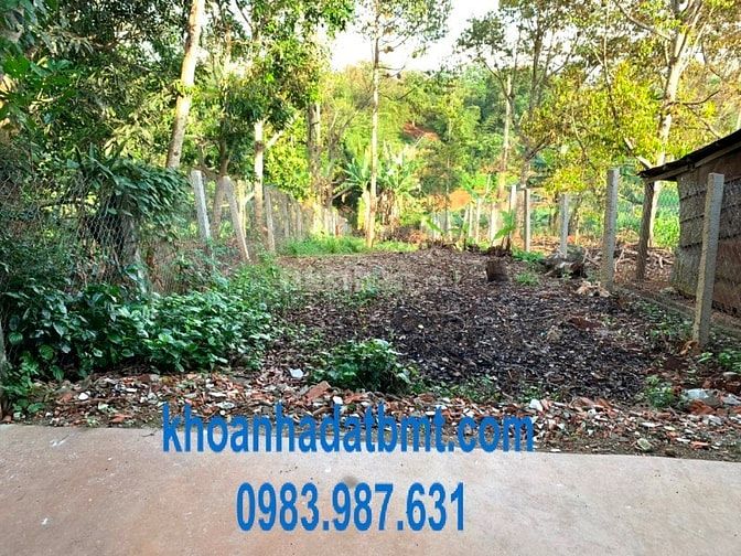 Nhà 1 mê lửng,mặt tiền Dã Tượng,5*65m,diện tích rộng,gần Nhà Máy Bia 53535417 Nhà 1 mê lửng,mặt tiền Dã Tượng,5*65m,diện tích rộng,gần Nhà Máy Bia