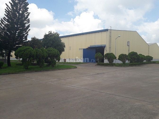 Cho thuê nhà xưởng mặt tiền đường Trần Phú, Nhơn Trạch 2, Đồng Nai. 53561249 Cho thuê nhà xưởng mặt tiền đường Trần Phú, Nhơn Trạch 2, Đồng Nai.