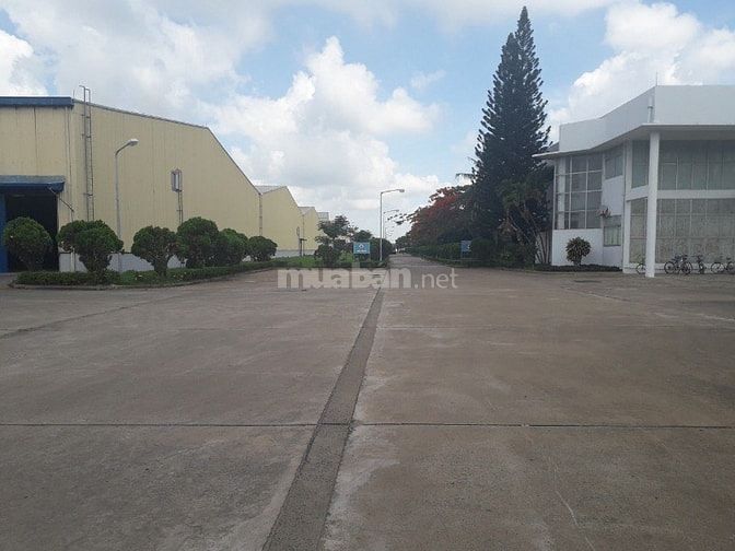 Cho thuê nhà xưởng mặt tiền đường Trần Phú, Nhơn Trạch 2, Đồng Nai. 53561249 Cho thuê nhà xưởng mặt tiền đường Trần Phú, Nhơn Trạch 2, Đồng Nai.
