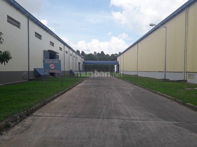 Cho thuê nhà xưởng mặt tiền đường Trần Phú, Nhơn Trạch 2, Đồng Nai. 53561249 Cho thuê nhà xưởng mặt tiền đường Trần Phú, Nhơn Trạch 2, Đồng Nai.
