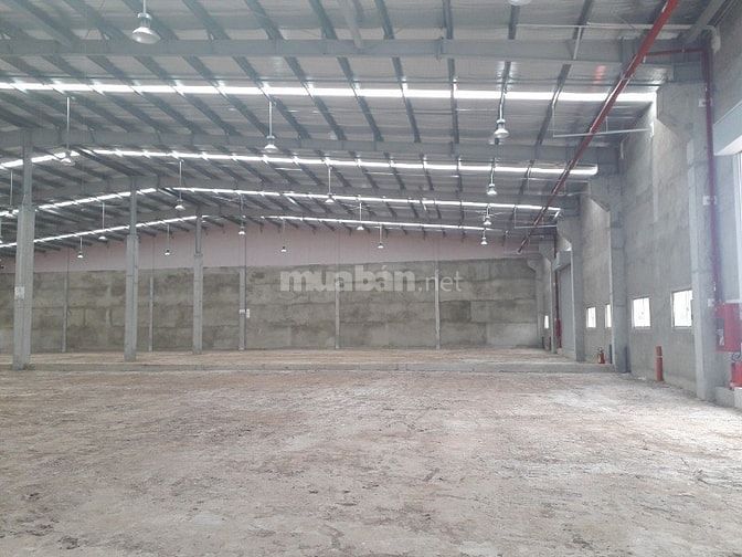 Cho thuê nhà xưởng mặt tiền trục chính trong Khu Công Nghiệp Long Đức 53561460 Cho thuê nhà xưởng mặt tiền trục chính trong Khu Công Nghiệp Long Đức
