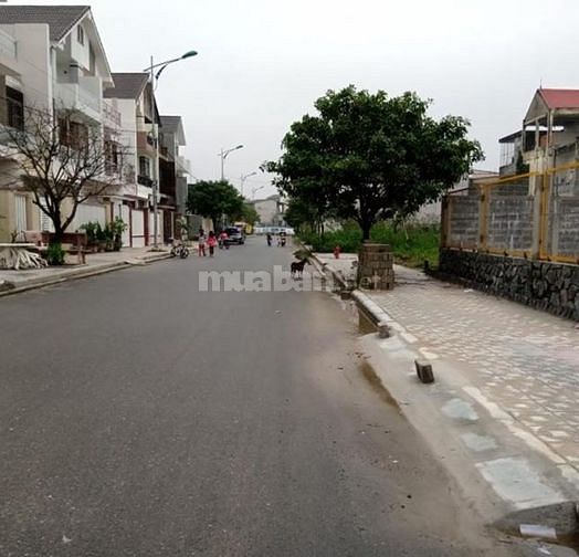 Bán đất khu dân cư Bắc Nguyễn Huệ- tp đông hà. 53538312 Bán đất khu dân cư Bắc Nguyễn Huệ- tp đông hà.