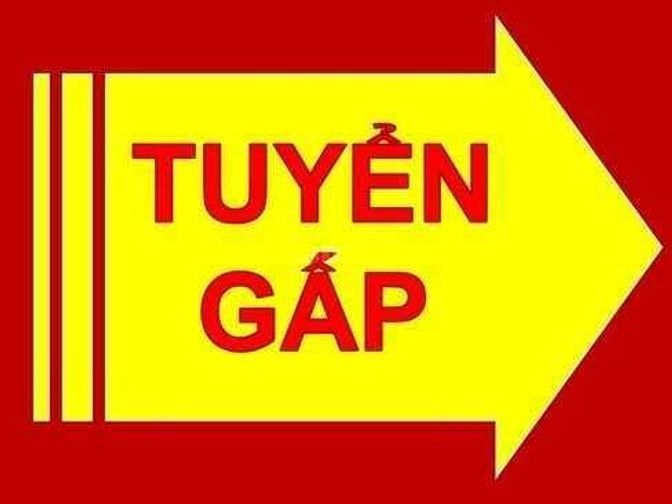 Cần tuyển sinh viên đứng bán hàng tại quầy 53562531 Cần tuyển sinh viên đứng bán hàng tại quầy