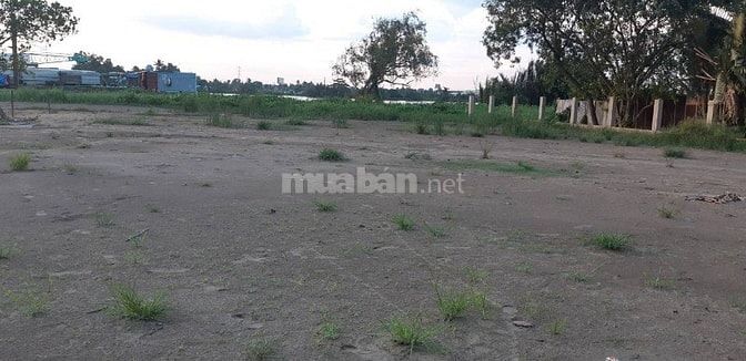 Mời hợp tác đầu tư, có chiến lược lâu dài, cam kết lợi nhuận 53587780 Mời hợp tác đầu tư, có chiến lược lâu dài, cam kết lợi nhuận