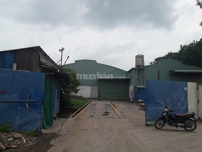 Cho thuê kho xưởng mặt tiền đường Võ Nguyên Giáp, xã Phước Tân 53612873 Cho thuê kho xưởng mặt tiền đường Võ Nguyên Giáp, xã Phước Tân