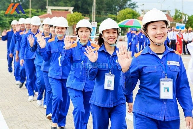 Cung cấp ô dù, quà tặng doanh nghiêp, đồng phục, bảo hộ lao động 53614926 Cung cấp ô dù, quà tặng doanh nghiêp, đồng phục, bảo hộ lao động
