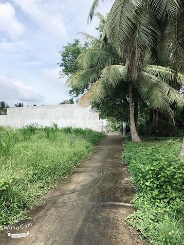 Bán đất ấp 1 xã Trung An đường Đoàn Thị Nghiệp lộ đá 53643985 Bán đất ấp 1 xã Trung An đường Đoàn Thị Nghiệp lộ đá