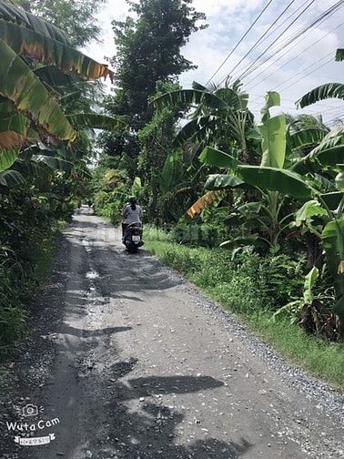 Bán đất ấp 1 xã Trung An đường Đoàn Thị Nghiệp lộ đá 53643985 Bán đất ấp 1 xã Trung An đường Đoàn Thị Nghiệp lộ đá