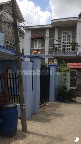 Hẻm xe hơi nhà mới, Nhà trống giao ngay. 53718496 Hẻm xe hơi nhà mới, Nhà trống giao ngay.